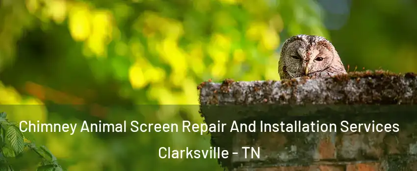 Chimney Animal Screen Repair And Installation Services Clarksville - TN