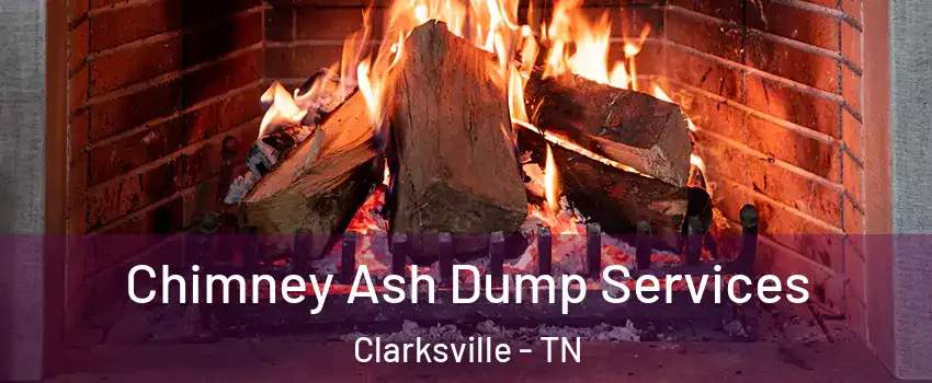 Chimney Ash Dump Services Clarksville - TN