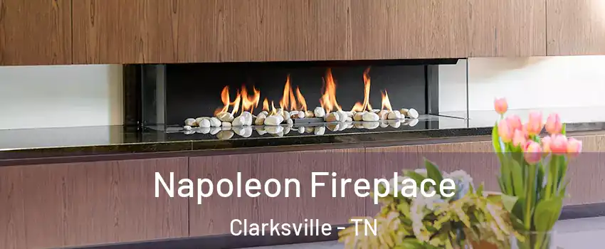 Napoleon Fireplace Clarksville - TN